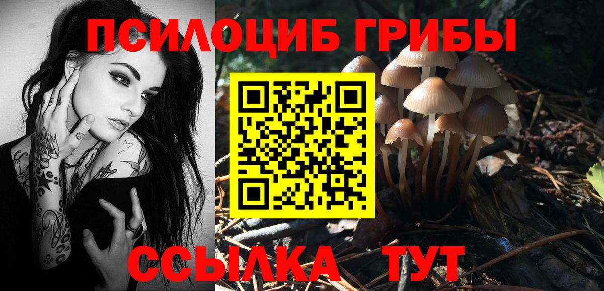 Псилоцибиновые грибы MAGIC MUSHROOMS Междуреченск