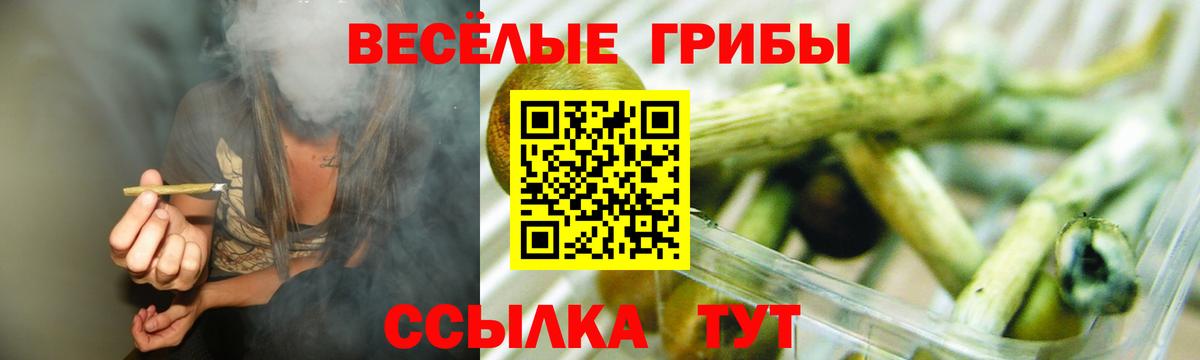 Псилоцибиновые грибы Psilocybine cubensis  Вход с VPN  цена   Междуреченск 